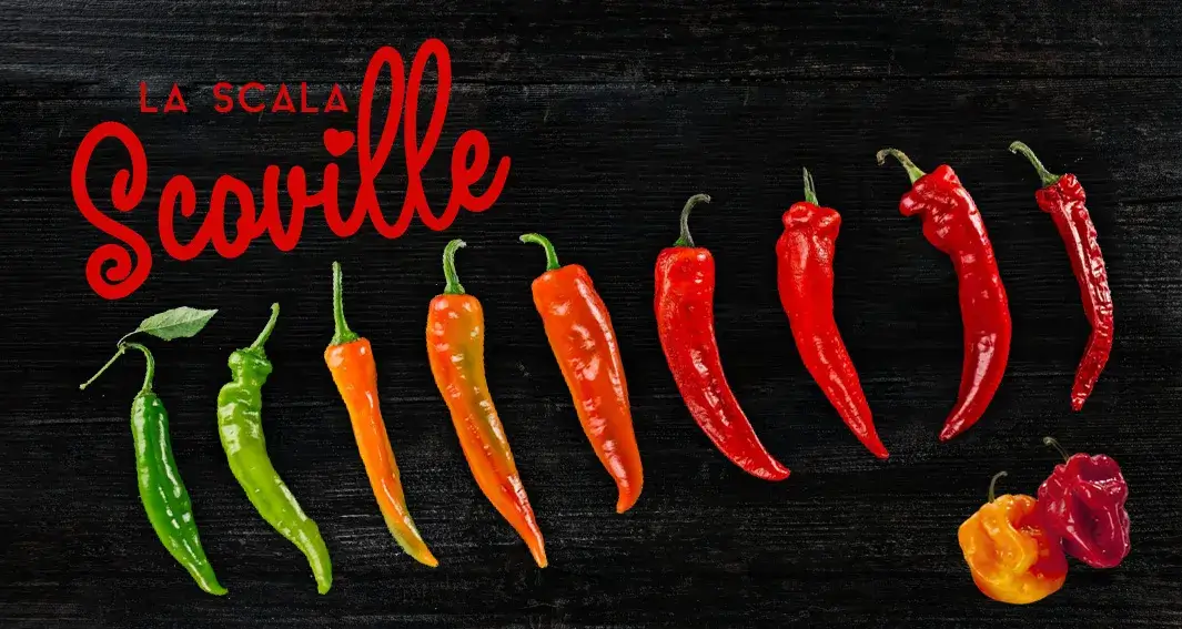 LA STORIA “PICCANTE” DELLA SCALA SCOVILLE